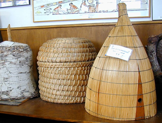 Münstertal, Bienenkunde-Museum