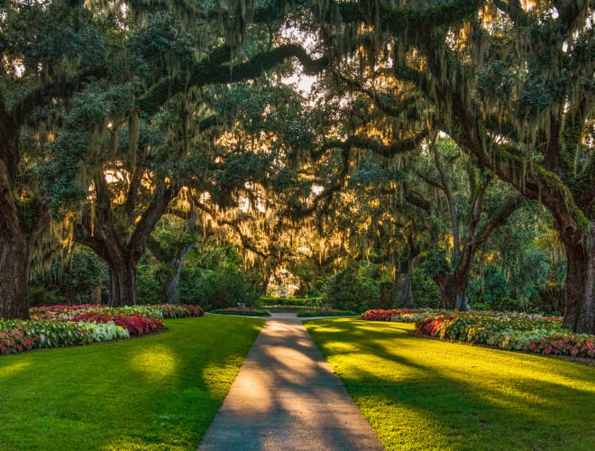 Brookgreen Gardens Infos, Preise und mehr ADAC Maps
