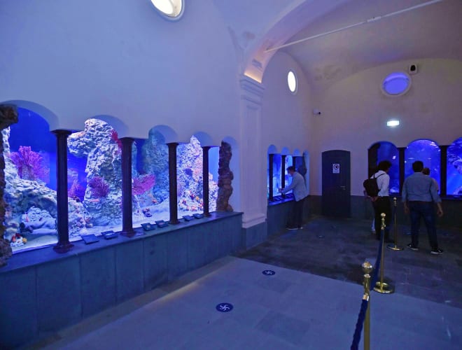 Neapel, Acquario