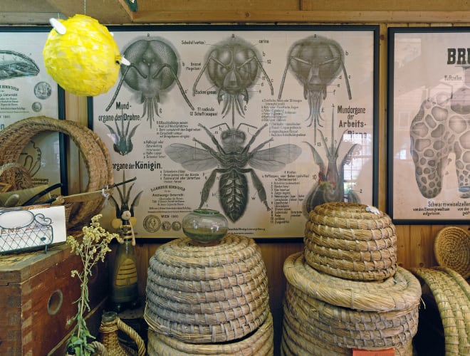 Nenzing, Bienenmuseum
