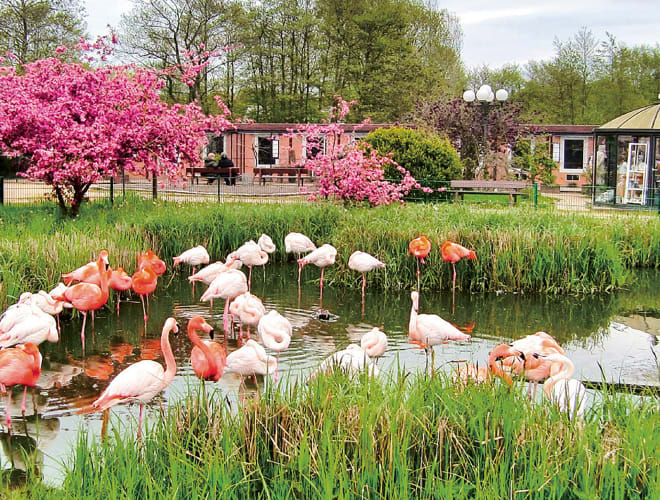 Niendorf, Vogelpark