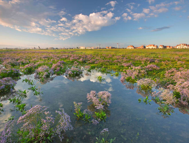 Nieuwpoort, Naturschutzgebiet Ijzermündung