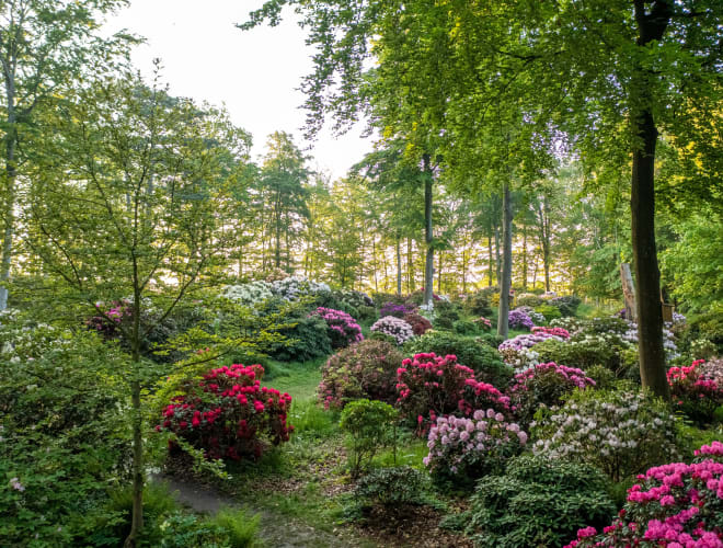 Nivå, Nivaagaards Malerisamling