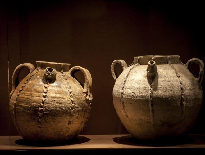 Nyons, Musée d'Olivier