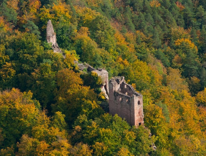 Obersteinbach, Château du Wasigenstein