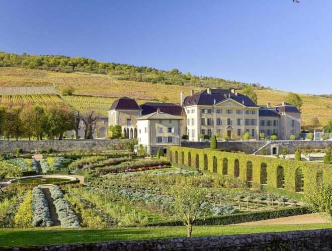 Odenas, Château de La Chaize