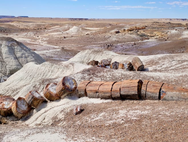 Petrified Forest, AZ, Petrified Forest National Park