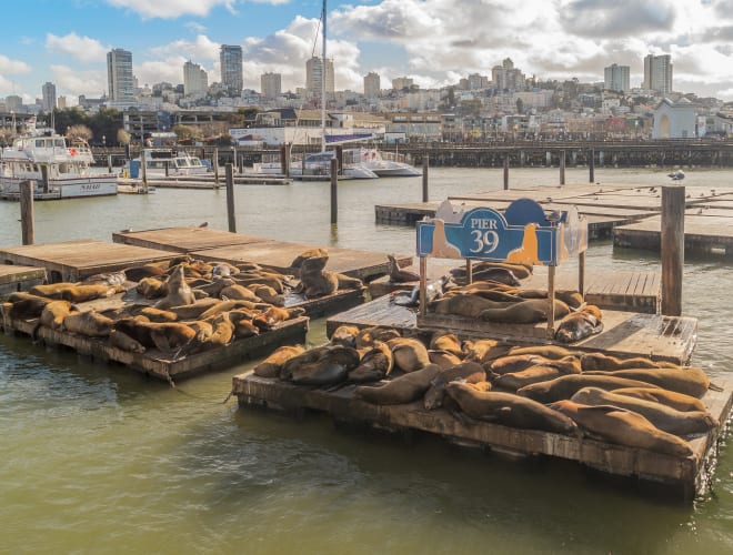 Pier 39, San Francisco Infos, Preise und mehr ADAC Maps