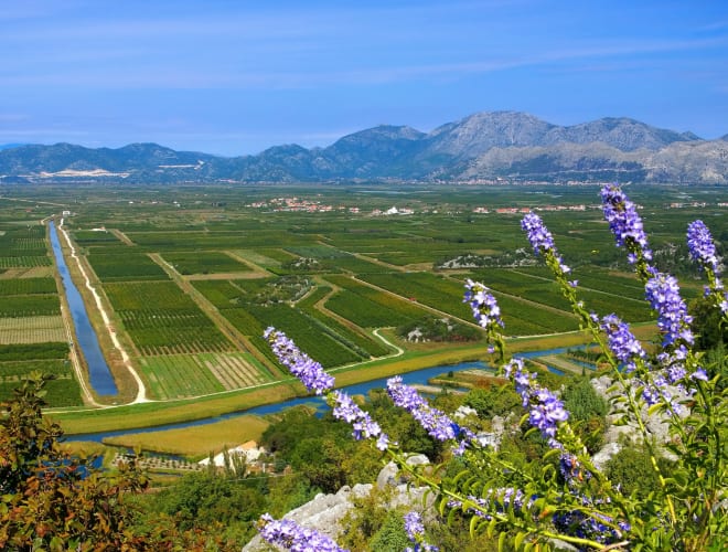 Ploce, Neretva-Delta
