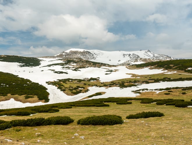 Puchberg am Schneeberg, Schneeberg