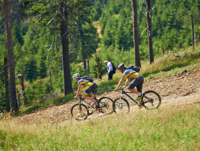 Quedlinburg, Radfahren und Mountainbiken im Harz