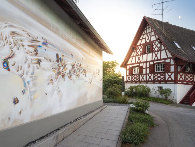 Radolfzell am Bodensee, Max-Planck-Institut für Verhaltensbiologie - MaxCine