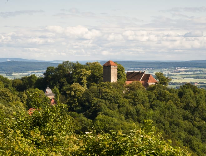 Rinteln-Schaumburg, Schaumburg