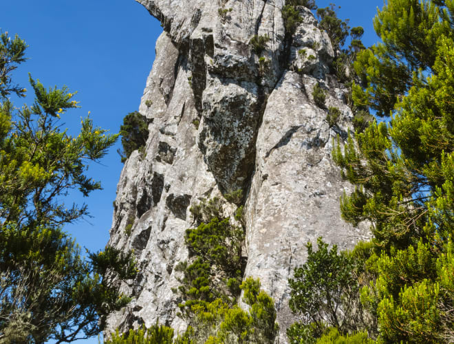 Roque de Anambro