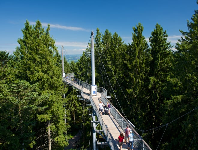 Scheidegg, Skywalk Allgäu