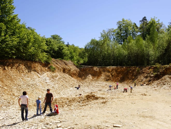 Solnhofen, Hobbysteinbruch Solnhofen