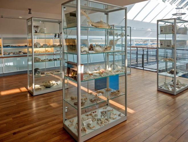 Spiekeroog, Kurioses Muschelmuseum