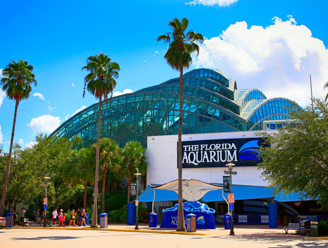 Tampa, FL, Florida Aquarium