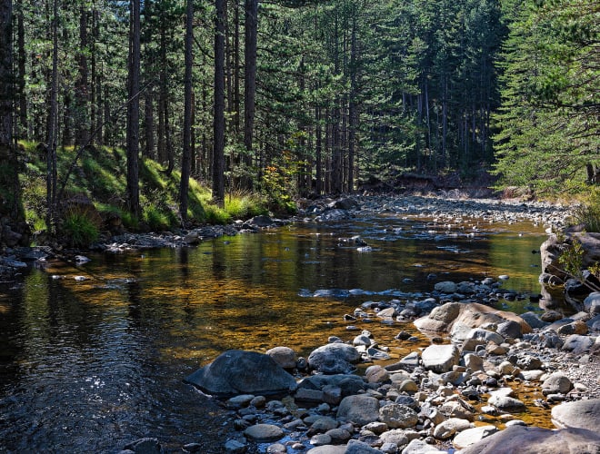 Vovoussa, Pindos-Nationalpark