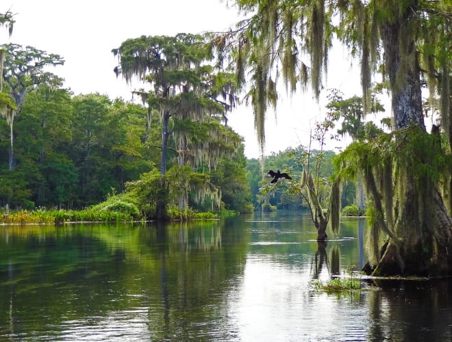 Wakulla Springs, Wakulla Springs State Park
