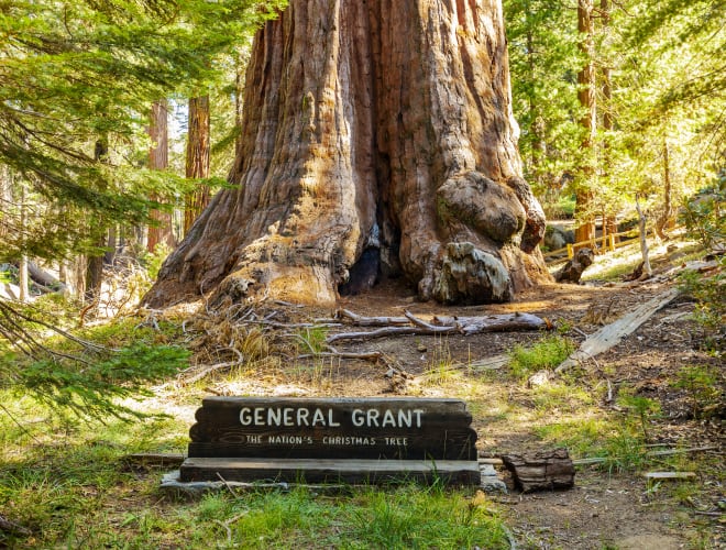 Wilsonia, CA, General Grant Grove