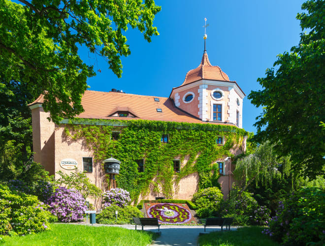 Zittau, Blumenuhr