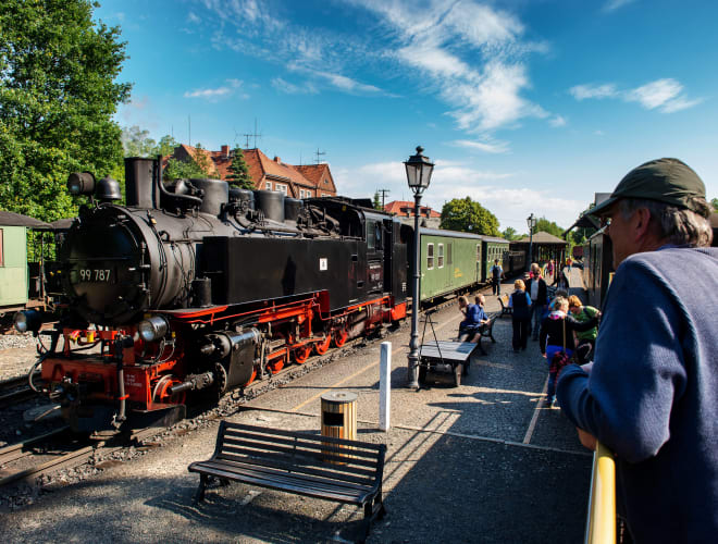 Zittau, Zittauer Bimmelbahn