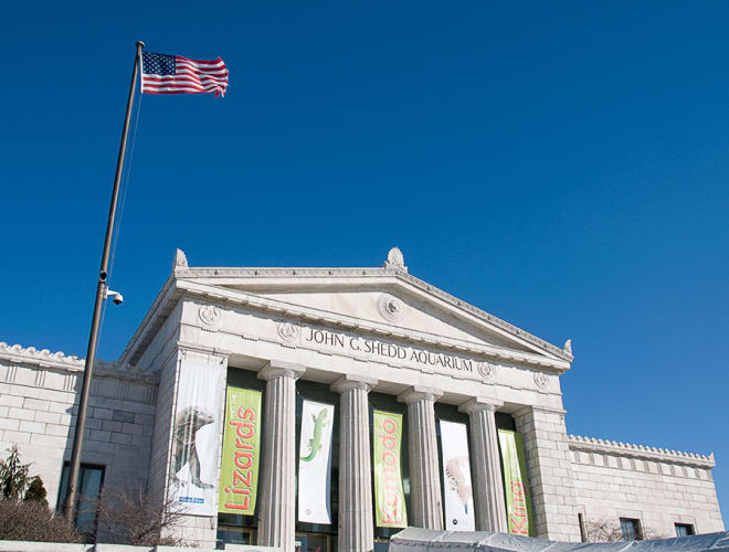 Chicago, Shedd Aquarium