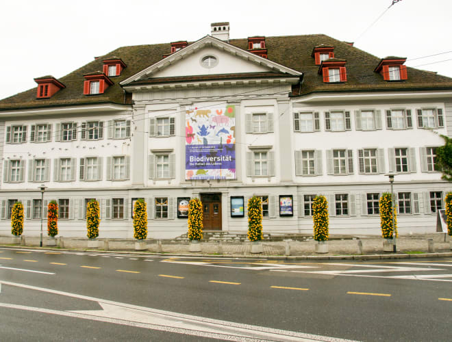 Luzern, Natur-Museum Luzern
