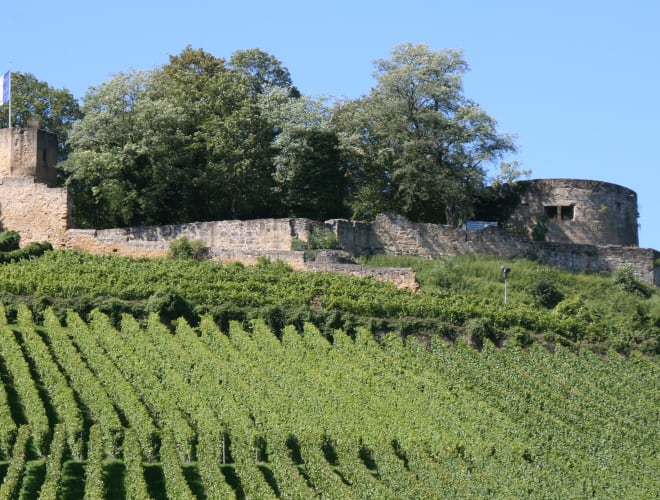 Weinsberg, Burgruine Weibertreu