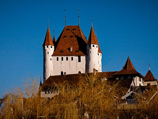 Thun, Schloss Thun