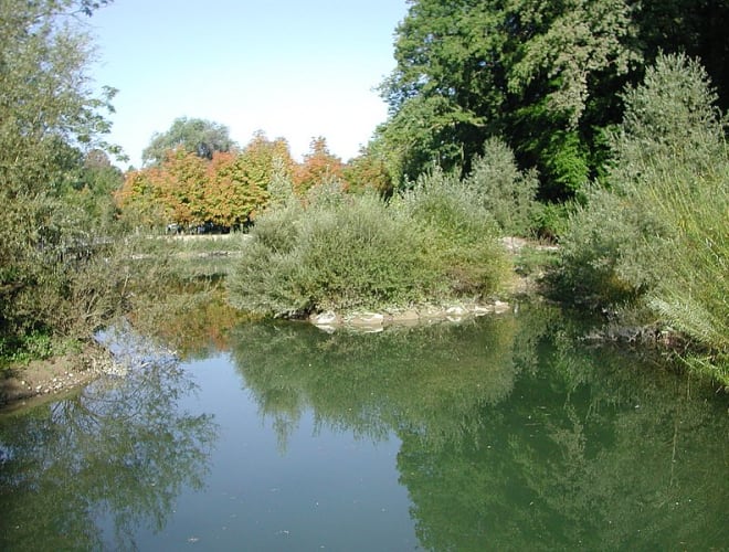 Bern, Tierpark Dählhölzli
