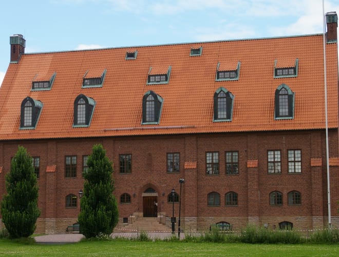 Skara, Västergötlands Museum