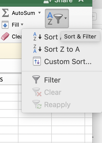 SORT AND FILTER Excel Skill