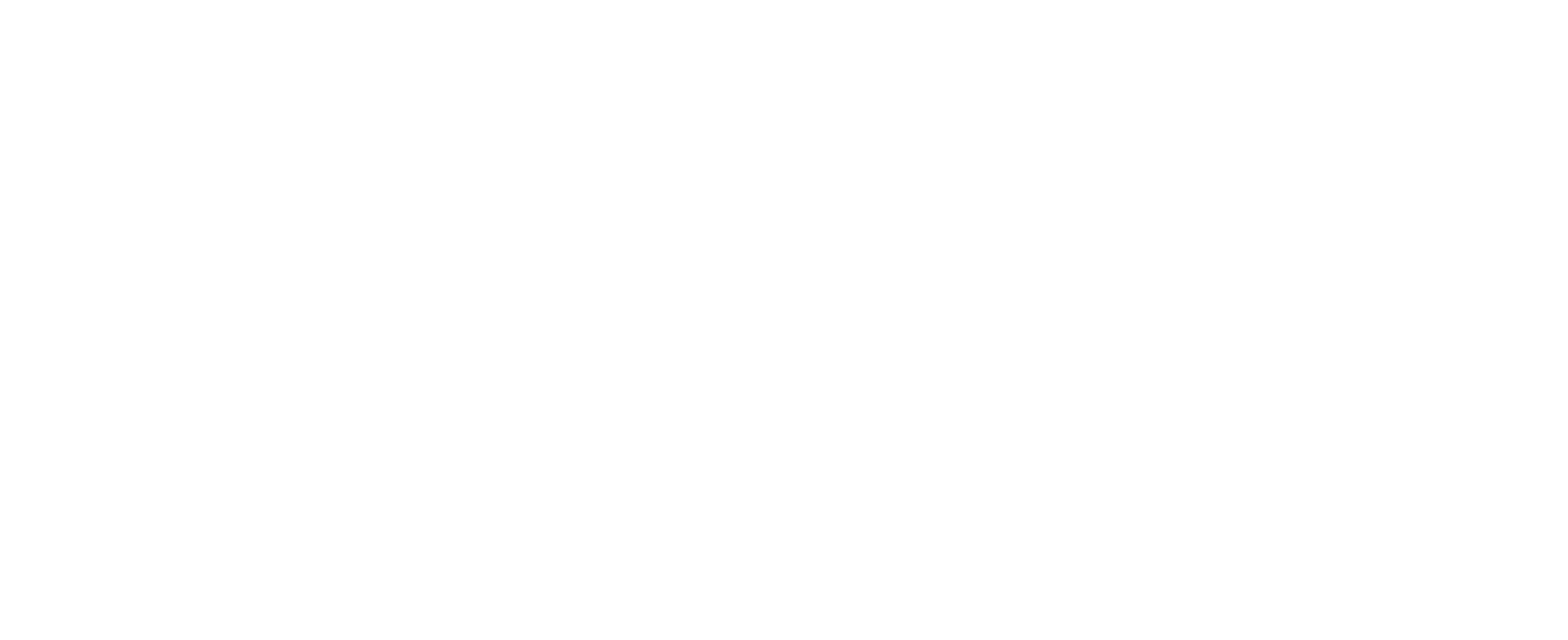pair pro language support