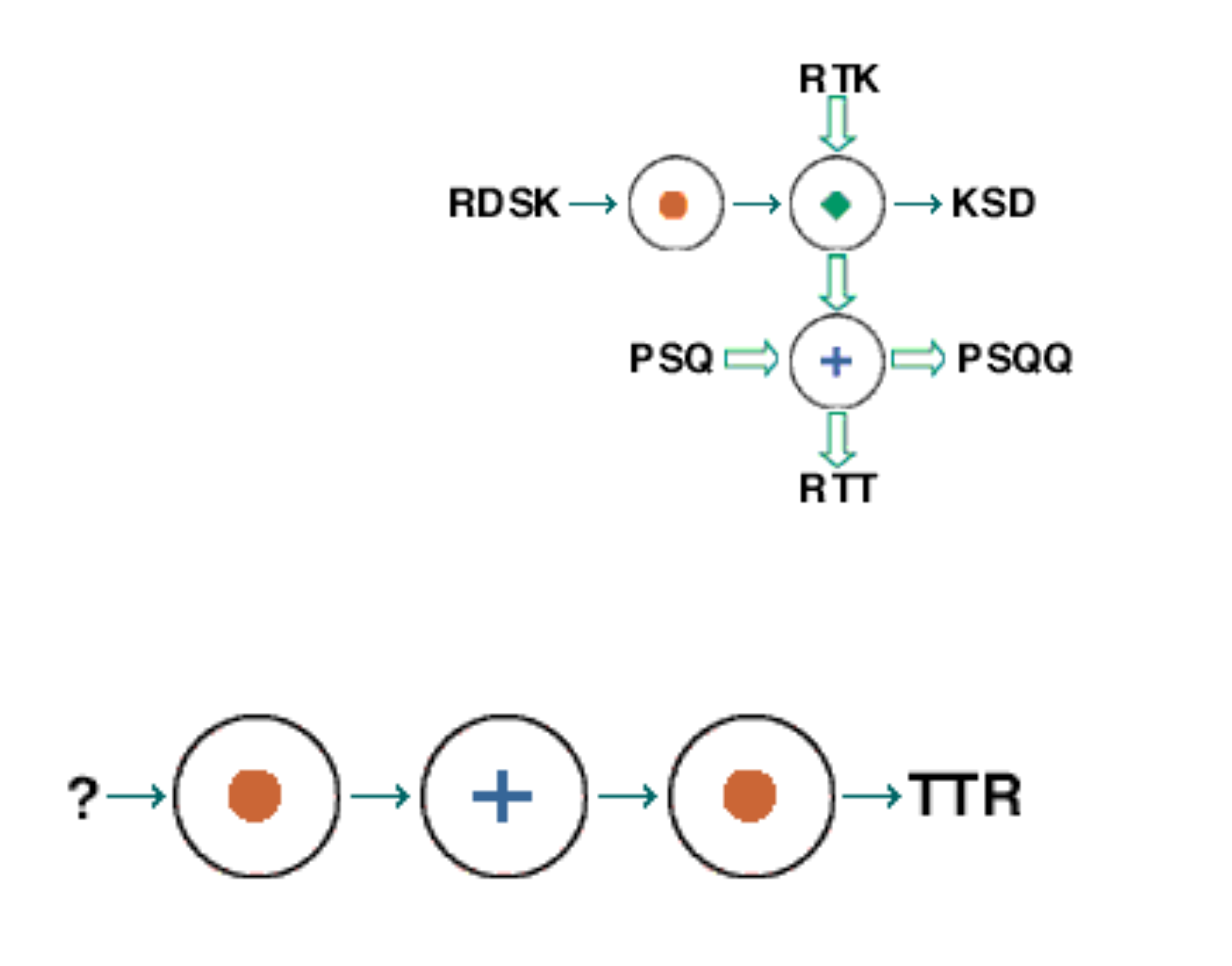 Reason the input II image
