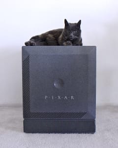 grey cat sitting on top of grey vintage computer