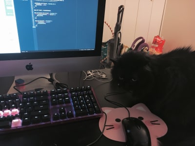 Near a keyboard and monitor, a shaggy black cat looks at a computer mouse on a mousepad shaped like a cat