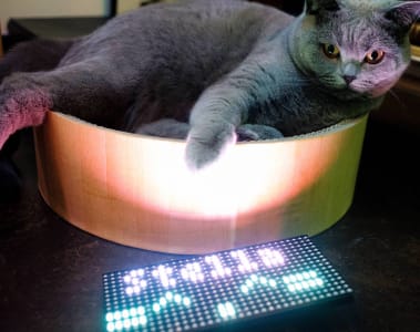 A Shorthair British-Blue sits inside of a perfectly sized plastic cylinder. There is an RBG matrix in front spelling out Stella with a cat emoji