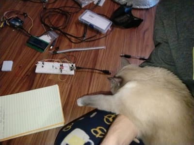 A brown cat flopped over an arm, one paw out, looking at a desk holding a notebook, breadboard, wires, and short LED strip