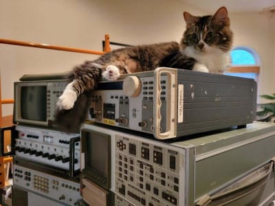 A brown and white cat lying down on a stack of equipment overlooking the room with their legs and tail hanging over