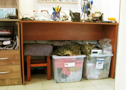 A brown tabby sleeps on big plastic tubs beneath an electronics work station