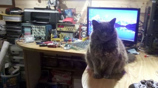 Fluffy grey cat sits on top of desktop workspace