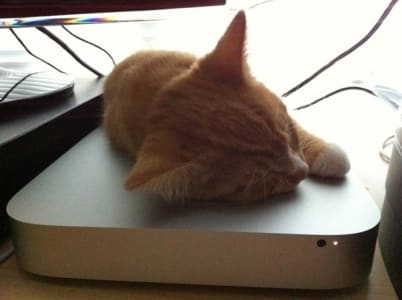 Orange cat with white paws sleeps on top of mac computer hard drive