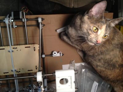 cat standing next to a 3d printer gazing off camera.