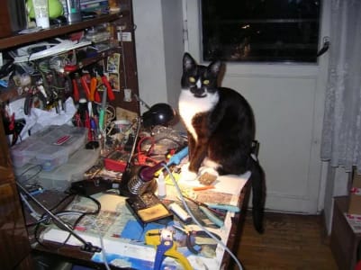 cat sitting on the edge of an in-use desk next to a soldering iron stand.