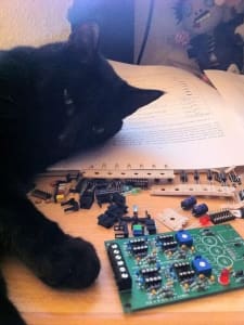 A black drowsy cat lays on a sheet of white paper with illegible writing on it. 