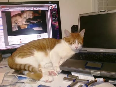 Tabby cat sleeps on a cluttered desk with its head on a laptop. A computer monitor is visible in the background. 