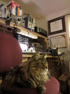 A long haired grey cat sits perched on a red office chair next to a cluttered work desk. college diplomas are hung on a wall to the right. 