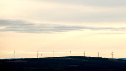 Kvällshimmel över skogslandskap, med vindkraftverk längst i bakgrunden.